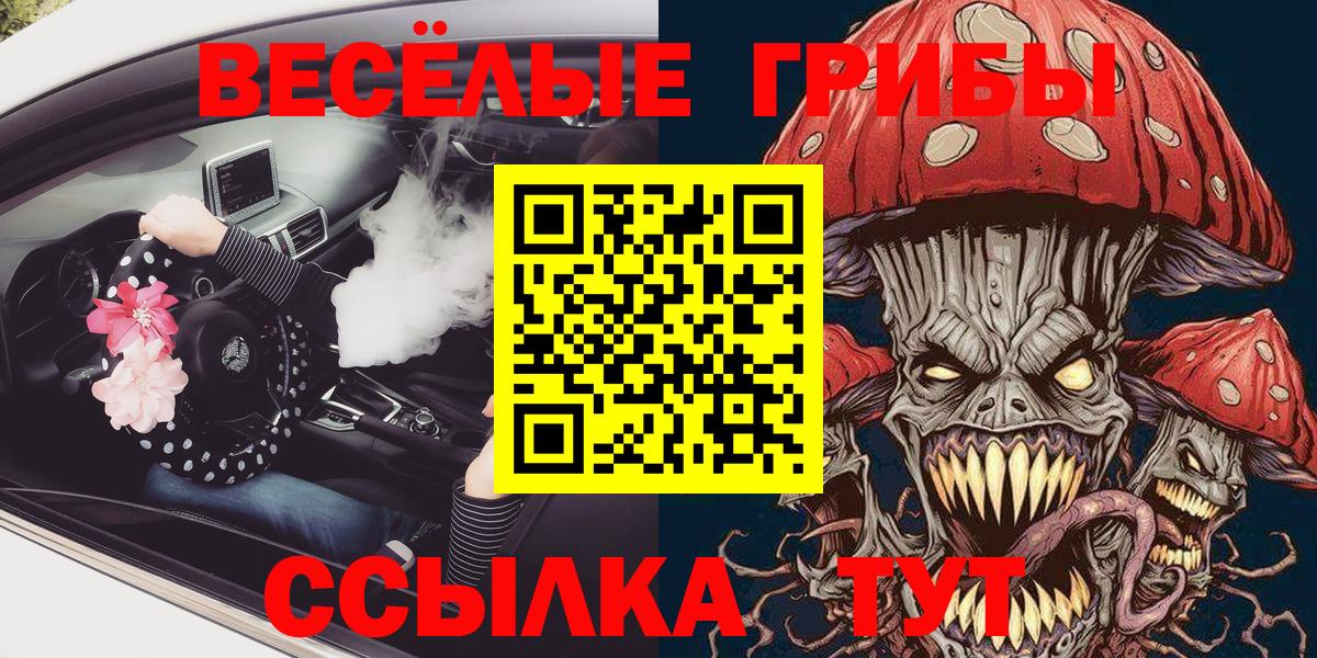 Псилоцибиновые грибы Psilocybine cubensis Кудрово